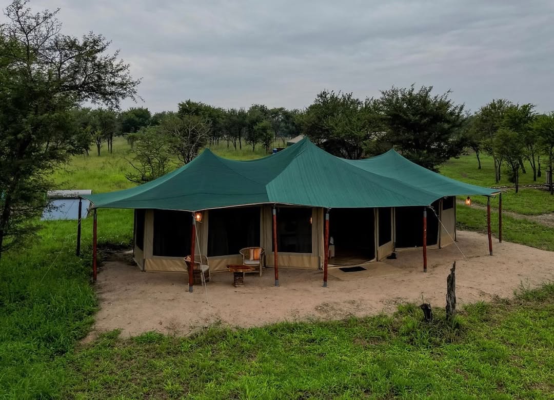 Budget Safari Stay